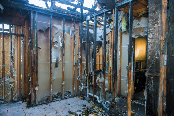 Professional Smoke Damage Removal technician working in Kaneohe, HI